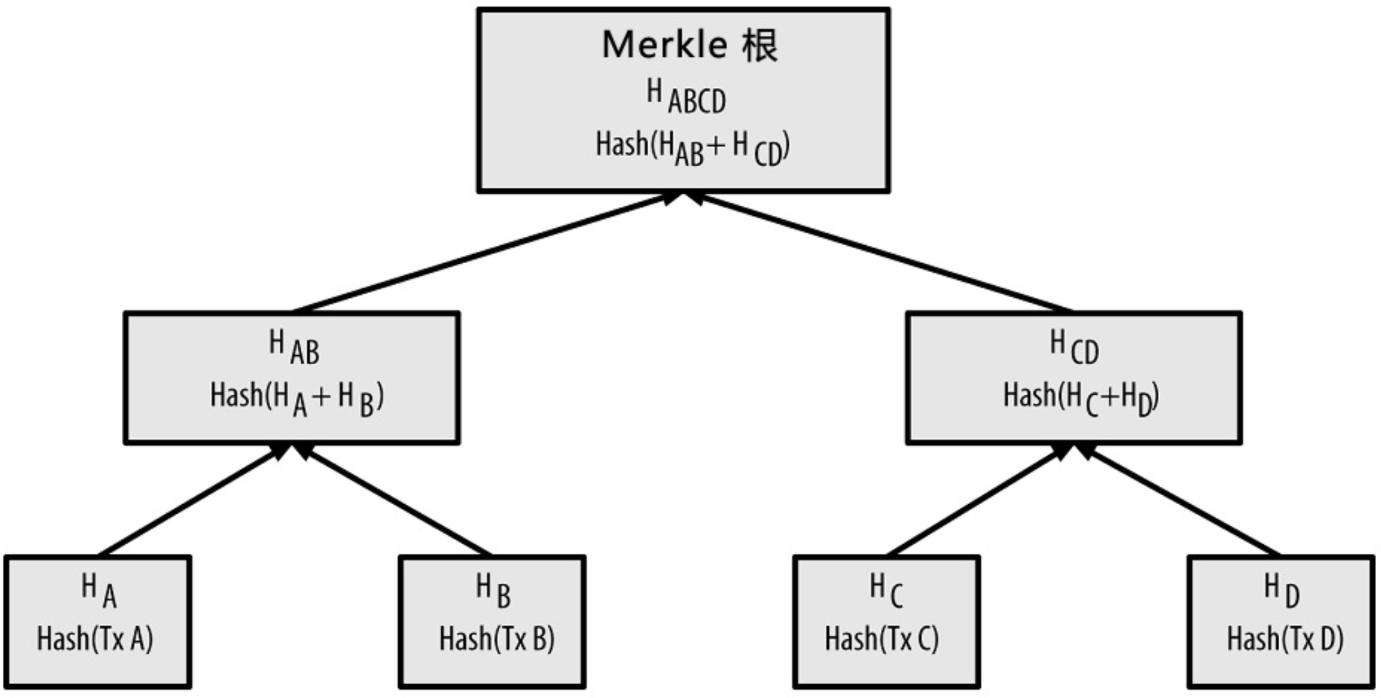 Merkle树的构造过程